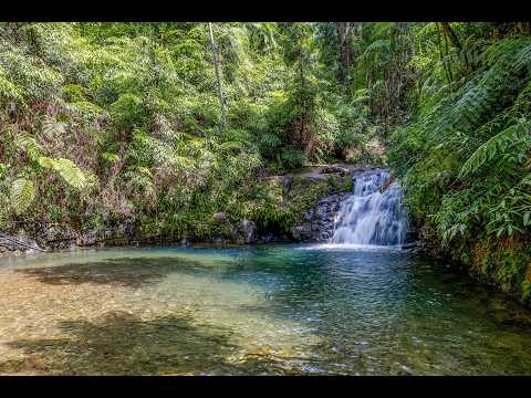 58 Maple Road, Cow Bay, QLD 4873, 3 slaapkamers, 2 badkamers, House