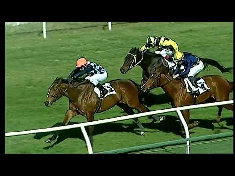 Napoli Galoppo 08/02/2022 - 1ª corsa