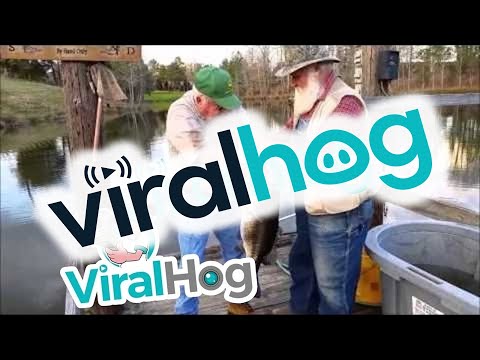 Watch This Dude Catch A Record 16.03 lb Bass With His Hand