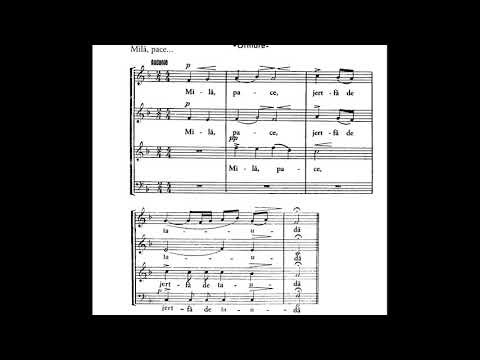 Raspunsurile mari pentru cor mixt - glasul 8