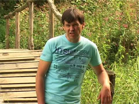 Zlatko Nedeljko Pepsi - Tri jejci