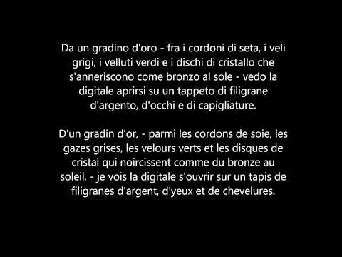 Rimbaud - Fiori