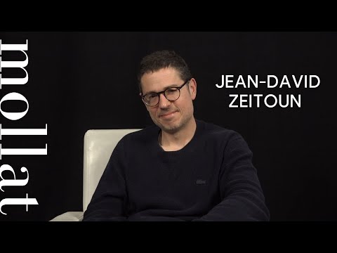 Jean-David Zeitoun - Les causes de la violence