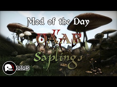 Morrowind Mod of the Day EP179 - OAAB Saplings Showcase