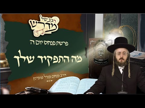 רגע של מדרש - פרשת פנחס יום ה'