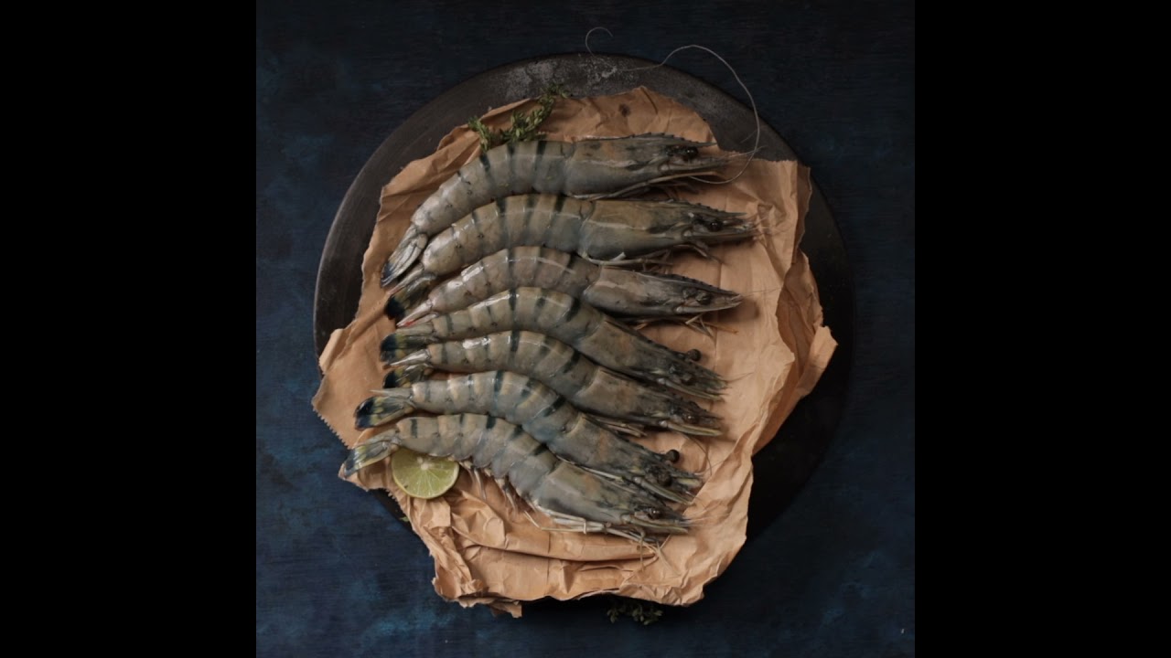 Digital content for WildFish - Prawns | Stop motion