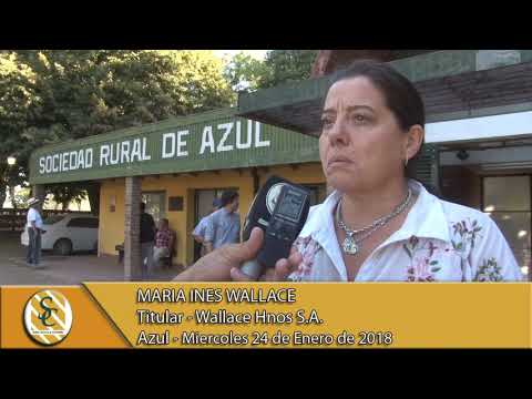 24-01-18 Nota Maria Ines Wallace - Wallace Hnos S.A. - Azul.