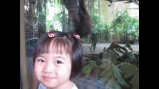 preview picture of video 'Family outing to the Singapore River Safari and Zoo 2013'