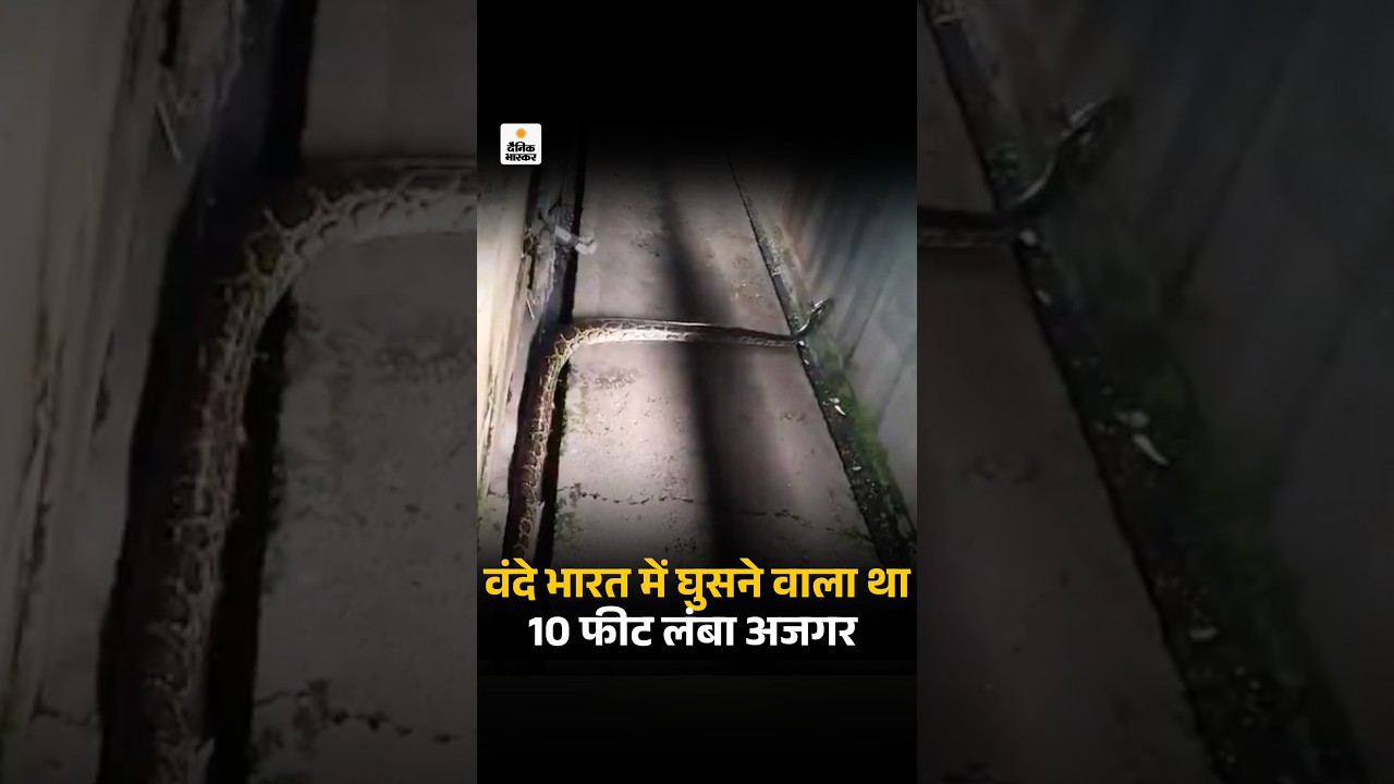 Vande Bharat में 10 फीट लंबा अजगर घुसने की कोशिश कर रहा था | Haridwar