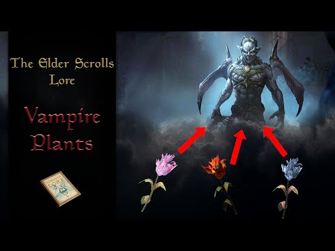 The Story of How Flowers Became Vampiric - The Elder Scrolls Lore
