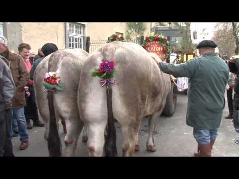 Bazas 2015   Fête des Boeufs gras