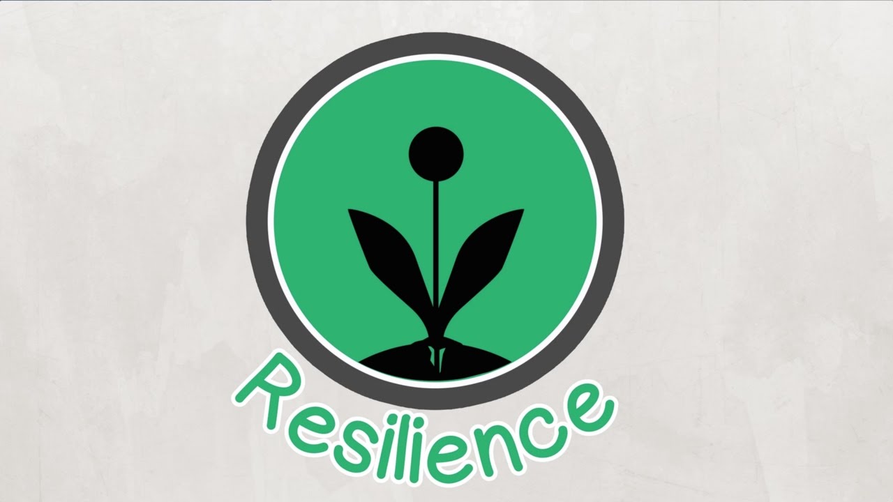 Building Resilience