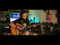 What S Next Acoustic Archie The Bird Brains