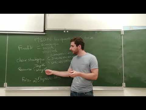 Les questions classiques posées en MSGN (management) au Bac STMG