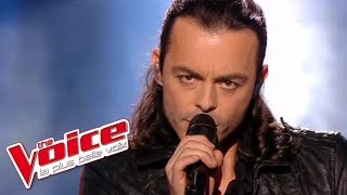 Jean-Jacques Goldman – Il suffira d&#39;un signe | Nuno Resende | The Voice France 2013 | Finale