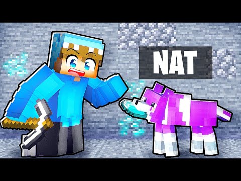 Forvandler Min Søster Til en Hund i Minecraft!