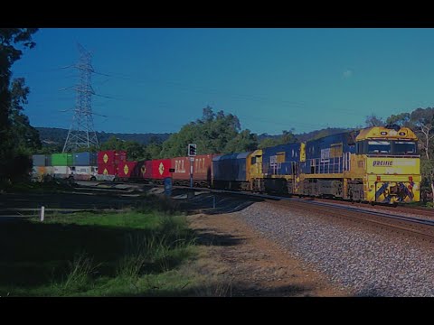 6SP5 through Bellevue