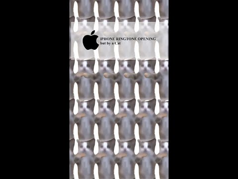 iPhone Ringtone but by a CAT