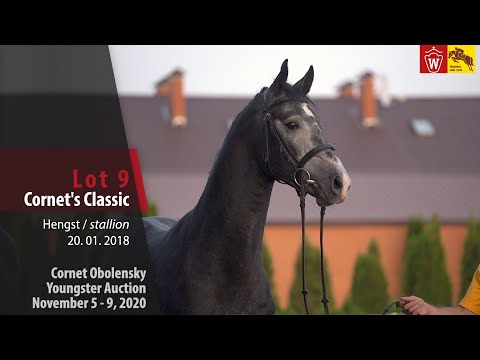 Cornet Obolensky Youngster Auction-Lot 9  Cornet`s Classic-stallion by Cornet Obolensky-Captain Fire
