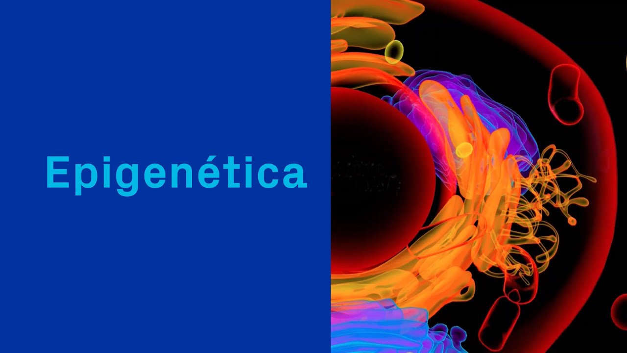 Epigenética
