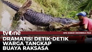 Download lagu Kabar Viral: Warga Tangkap Buaya Sepanjang Tujuh Meter dengan Berat Satu Ton | tvOne mp3