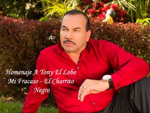 Mi Fracaso-El Charrito Negro