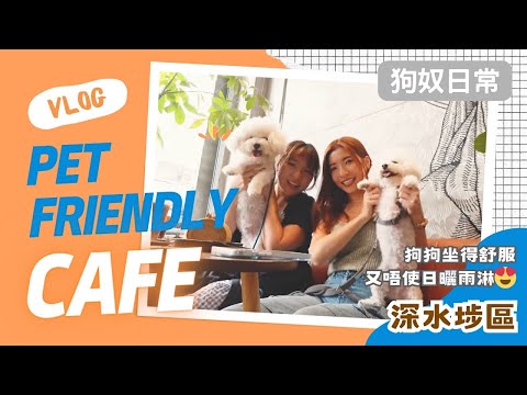 【Kira Vlog】狗奴日常系列🐶 深水埗區「真」寵物友善cafe 😍狗狗一齊嘆冷氣！打卡chill 聚好去處？😏