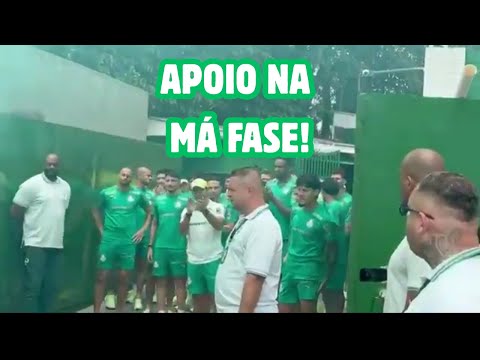 Palmeiras fans celebrating before the Libertadores final.