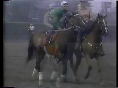 Alysheba vs. Bet Twice - 1988 Phillip H. Iselin Handicap
