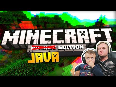MINECRAFT Java Edition |  I was playing on PC  SHEEP and DOGS