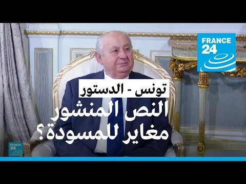 تونس الصادق بلعيد النص الذي اقترحه سعيّد من شأنه تمهيد الطريق "لديكتاتورية مشينة"