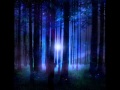 Moonlight Sonata - Magic Forest & Magic Night ...
