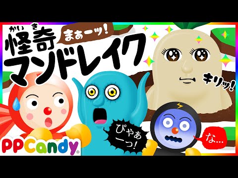 偽マンドレークの根 植物