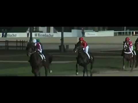 Ladytrab Monté Cup 2013_Bendt Ricardo_Cathrin Nimczyk