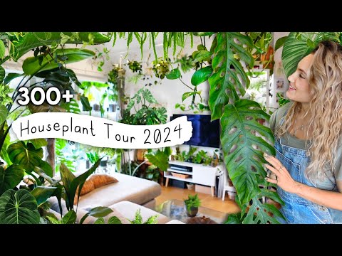 300+ Houseplant Tour 🌿 2024 Plant Collection Home Tour (Rare and Common) 🌱