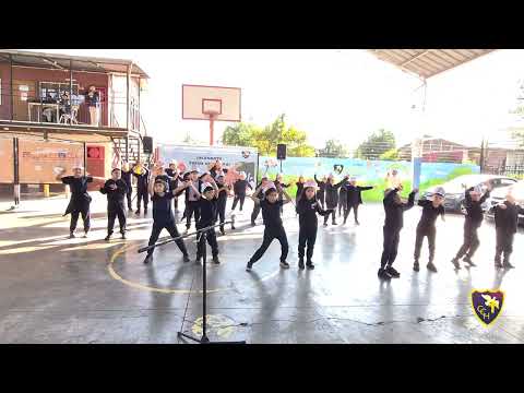 Video 4
