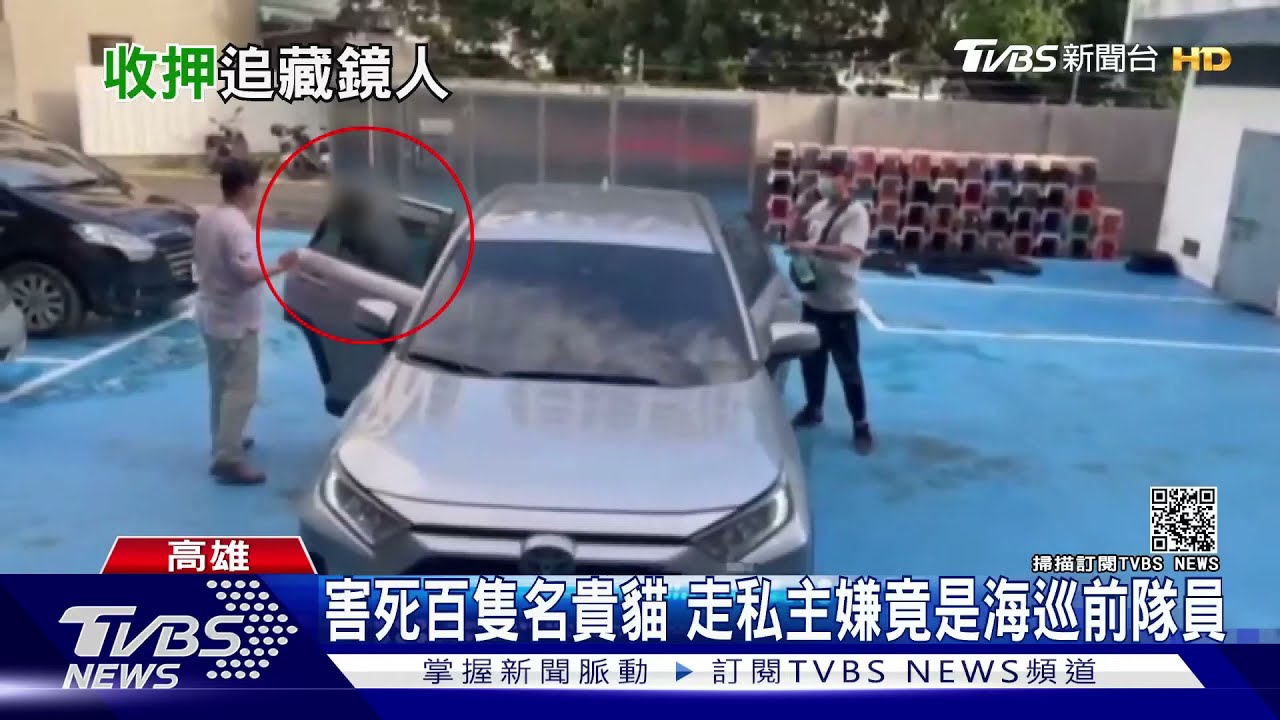 就是他！走私名貴貓主嫌是海巡前隊員　教唆員工改造船艙