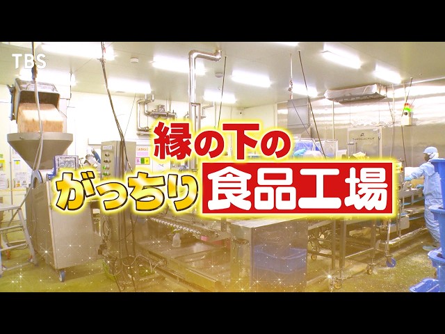 がっちりマンデー！！縁の下の食品工場！デカチキンカツ、超スゴいつけ麺、㊙ミニパン