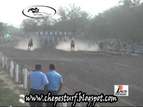 CARLITA     2013 22 12 PISTA PANGARE CRUZ DEL EJE VIDEO DE CHEPES TURF