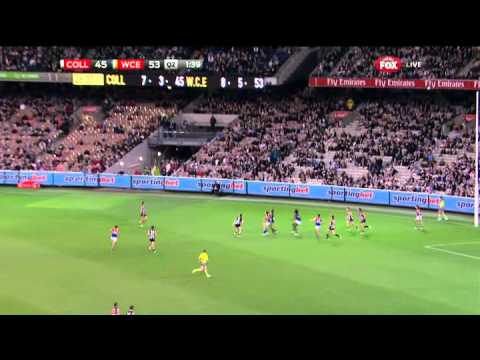 Round 10 AFL - Collingwood v West Coast Eagles Highlights