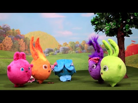 Sunny Bunnies Light Up and Bounce Toyplay Episode