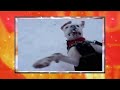 AFV S19E14 Honorable Mentions