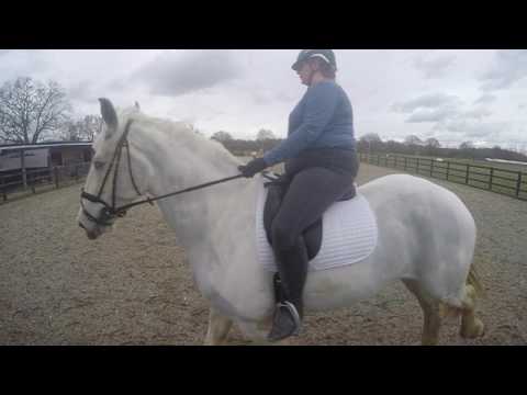 Dressage Anywhere - Wobbleberries - Preliminary 1 2006 - February 2017