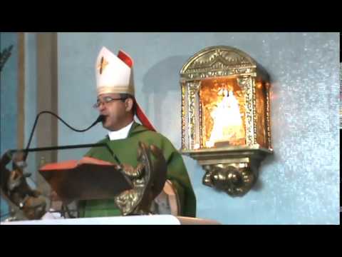 Homilia-Dom José Francisco Falcão-Missa 17º Domingo Comum-27/7/2014-PASMASE-Brasilia/DF