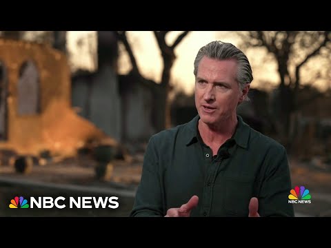 Gov. Newsom says he's organizing a Marshall Plan to reimagine 'L.A. 2.0' after wildfires