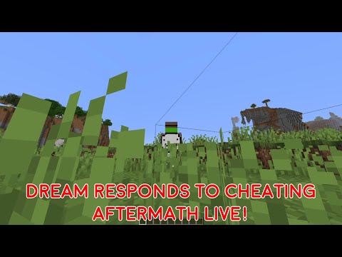 Dream Admits to Cheating (AFTERMATH)