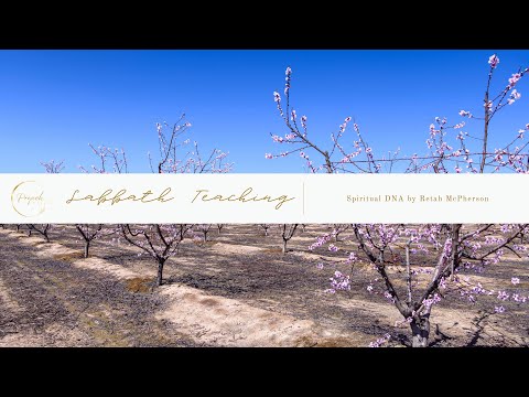 Spiritual DNA by Retah McPherson