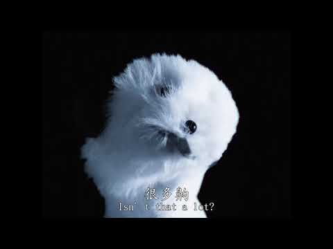 2025第47屆金穗影展入圍影片｜在我們的日曆 Somewhere Only We Know