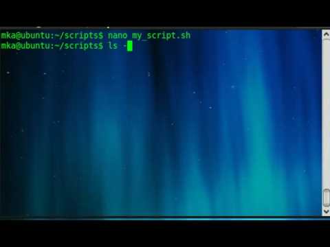 bash shell scripting