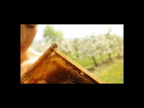 Marcelina - Szukam Cię (teaser)